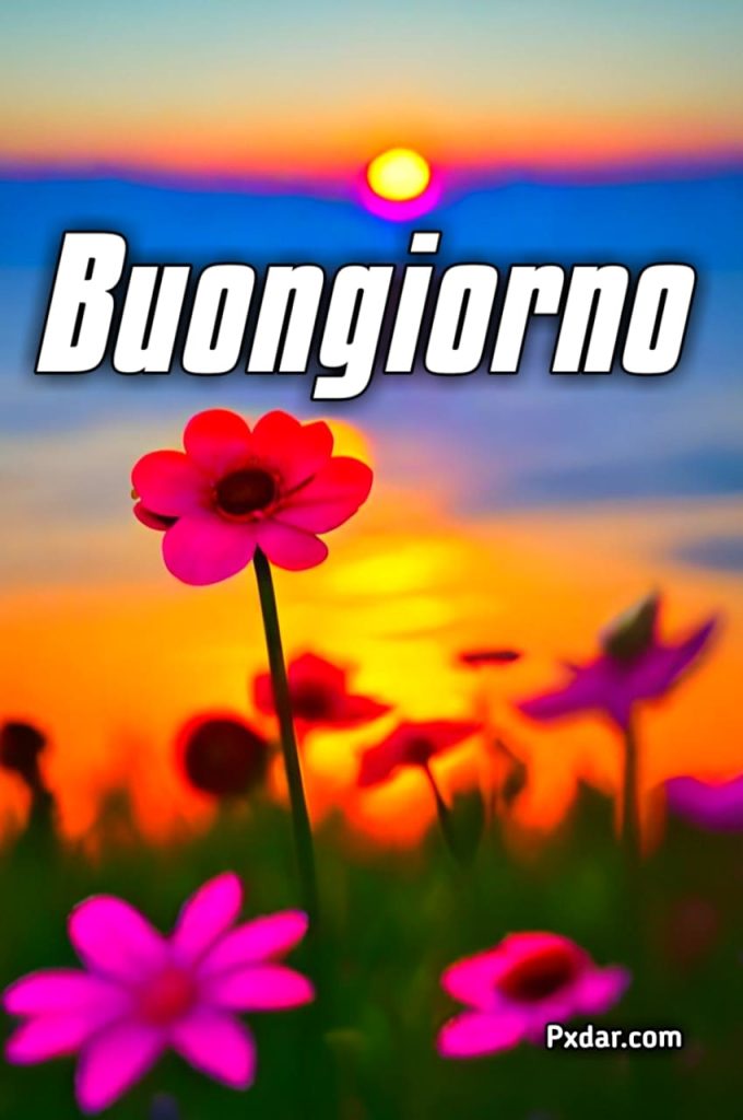 Buongiorno Buona Domenica Originale