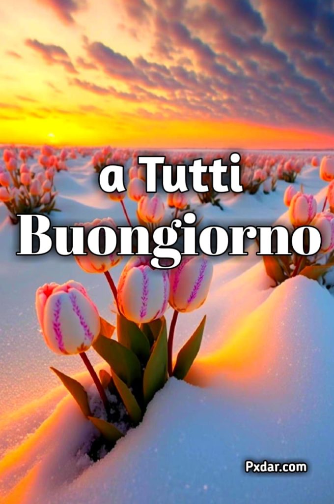 Buongiorno Buona Giornata Immagini Nuove