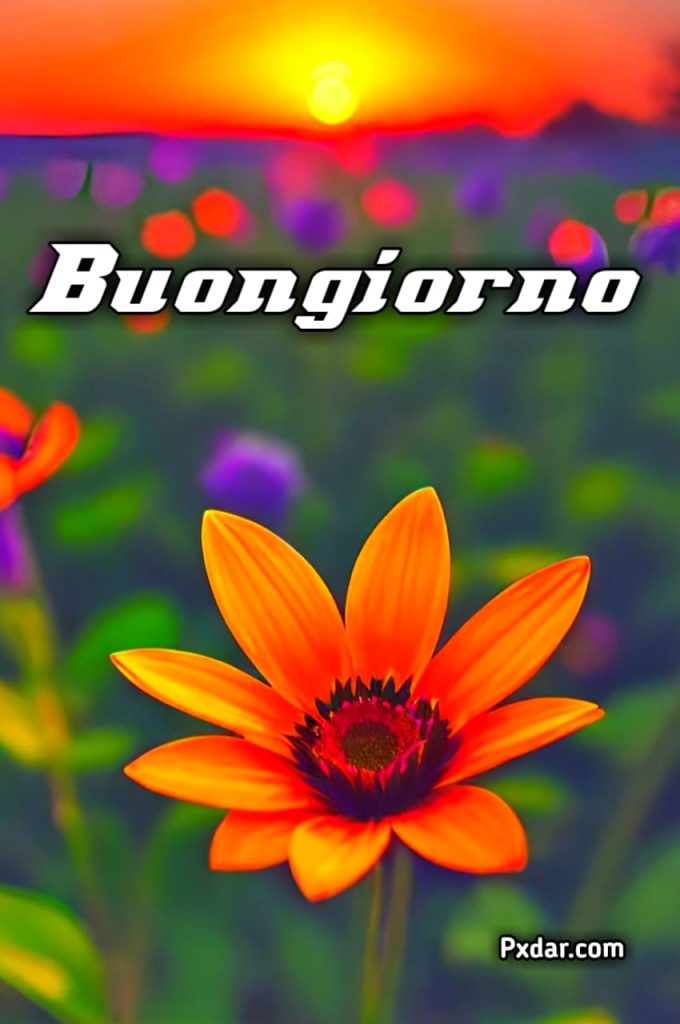 Buongiorno Con Animali E Fiori