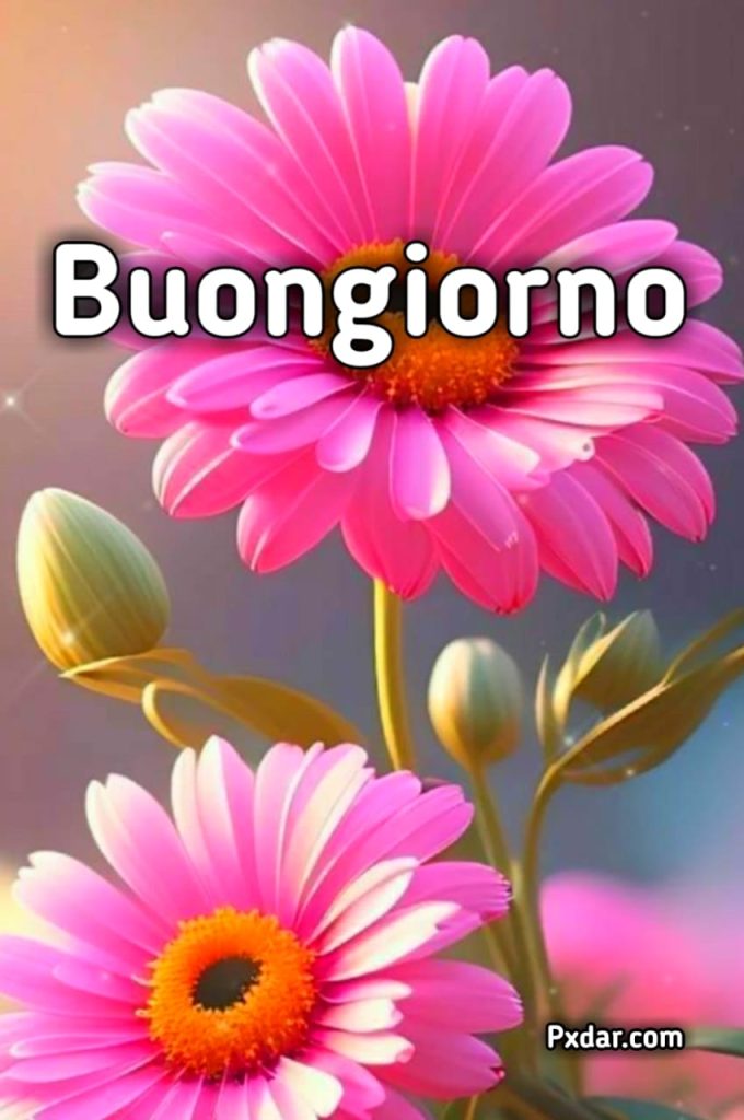 Buongiorno Con Caffè E Fiori