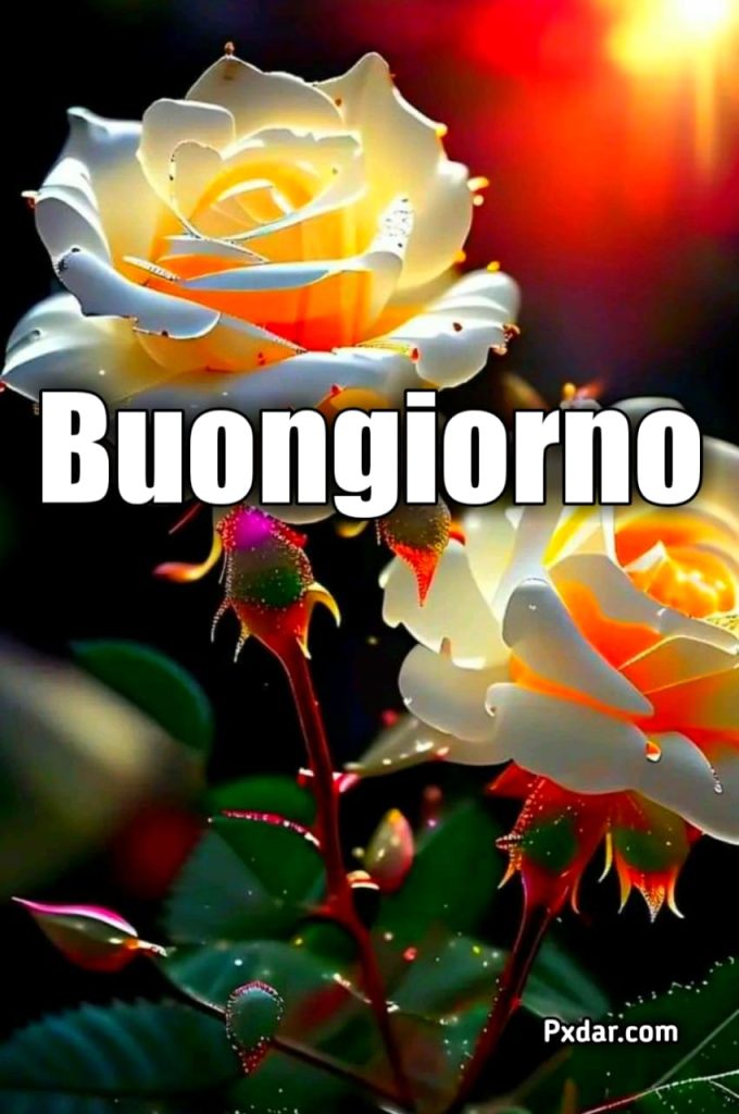 Buongiorno Con Fiori Bellissimi