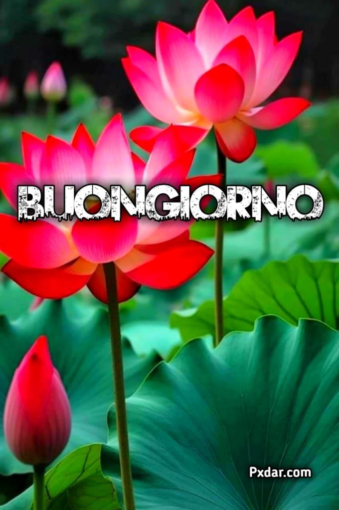 Buongiorno Con I Fiori E Caffè