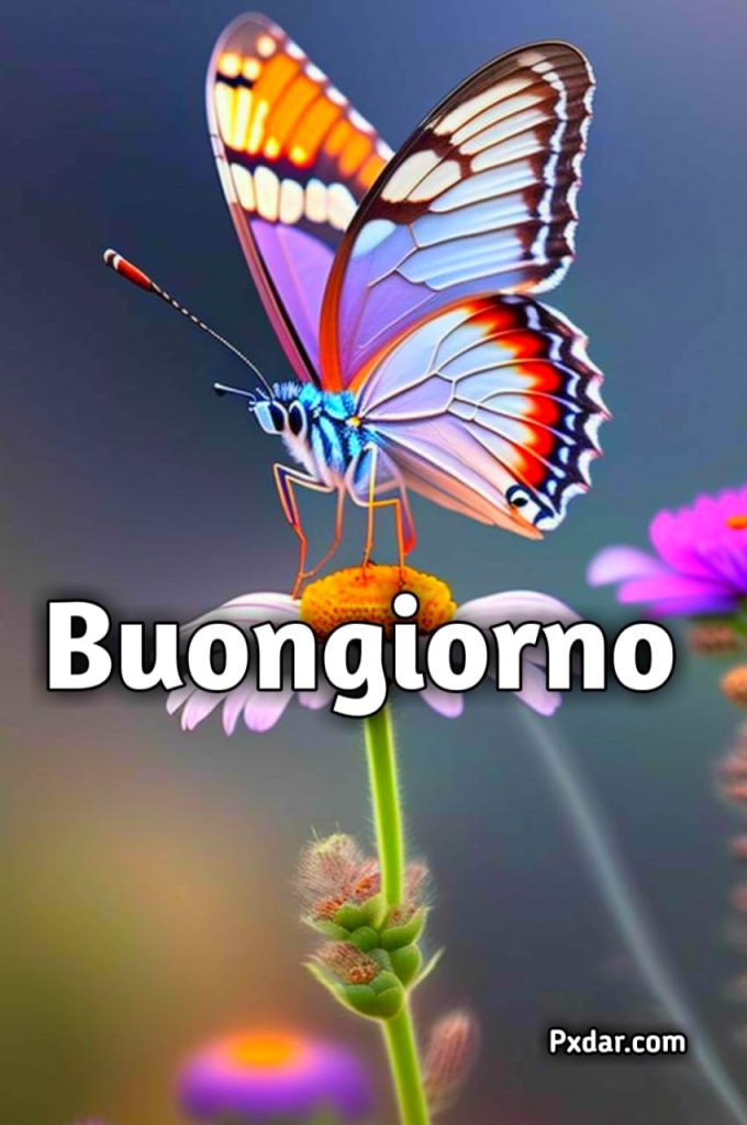 Buongiorno Con I Fiori Immagini Nuove