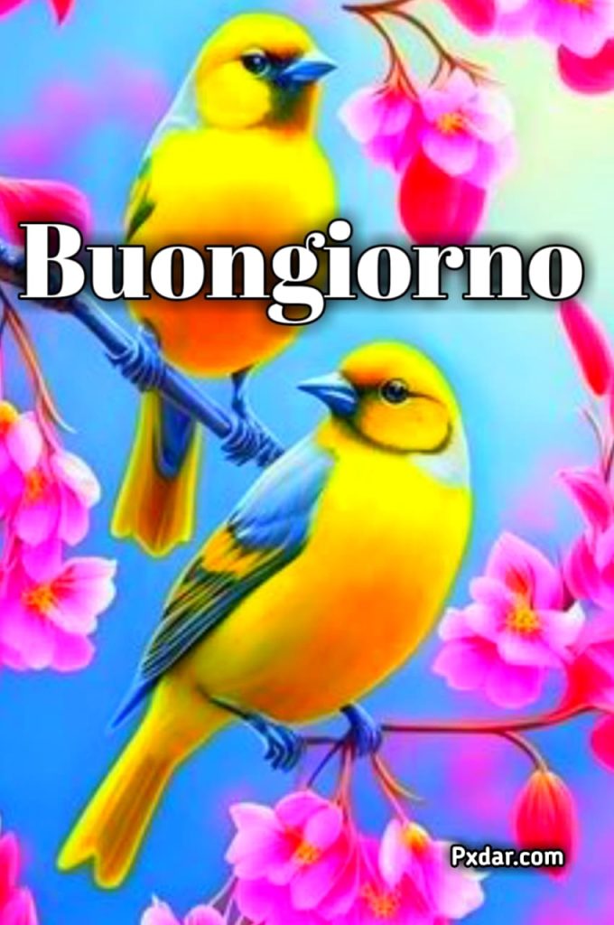 Buongiorno Con I Fiori Più Belli Del Mondo