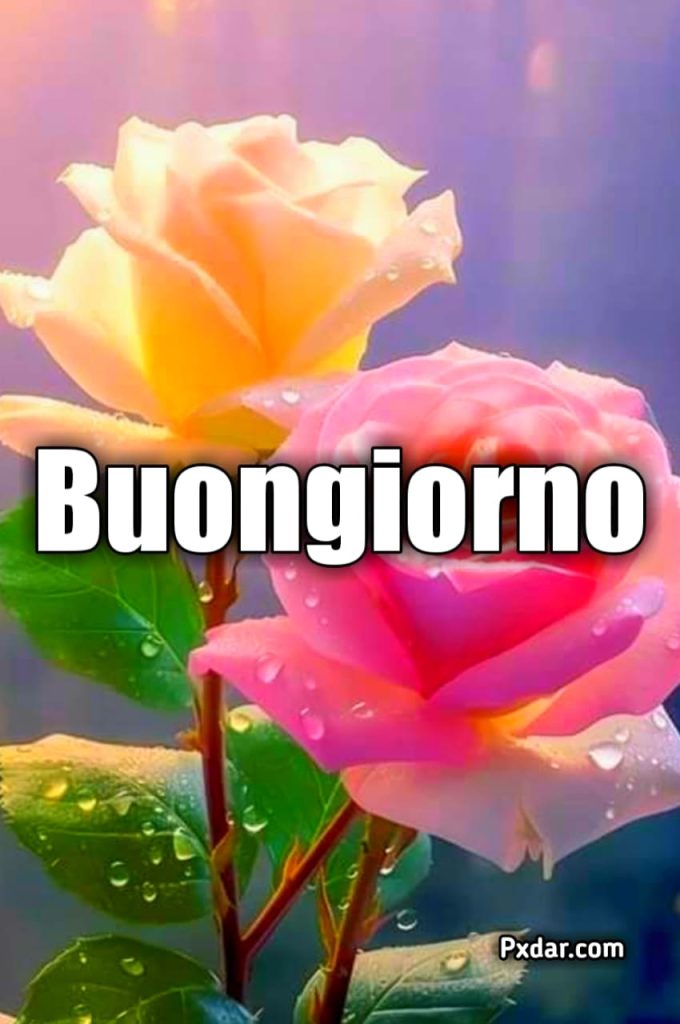 Buongiorno Con Sole E Fiori