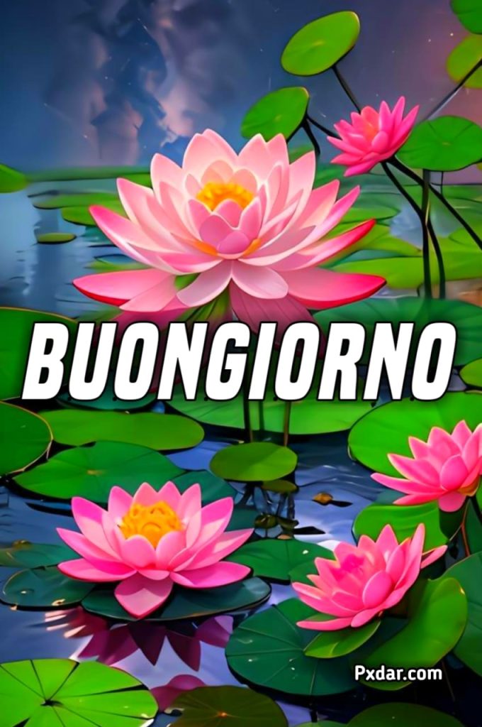 Buongiorno Con Un Fiore