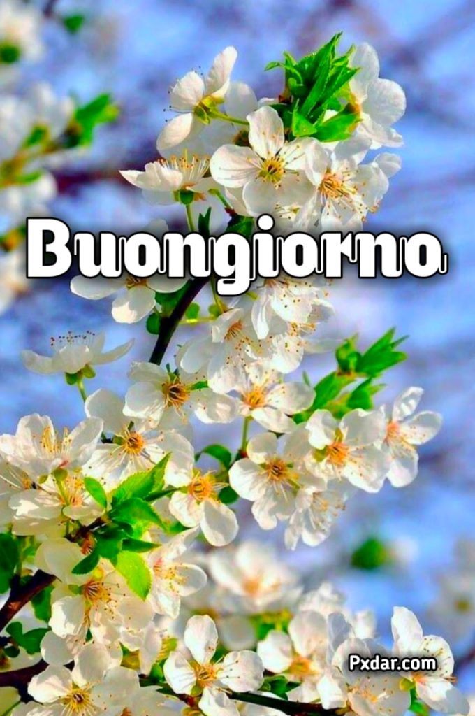 Buongiorno Domenica Primaverile