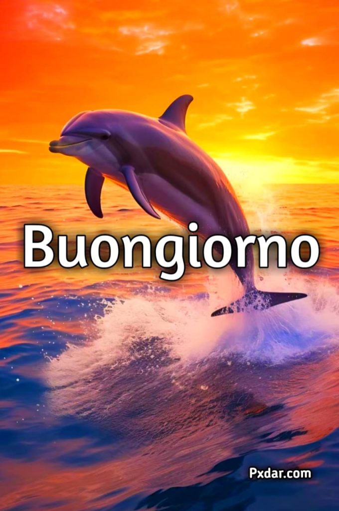 Buongiorno E Buona Domenica Estivo