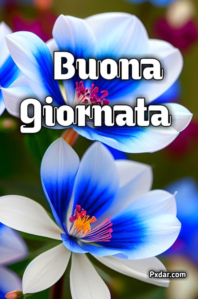 Buongiorno E Buona Giornata Immagini Nuove