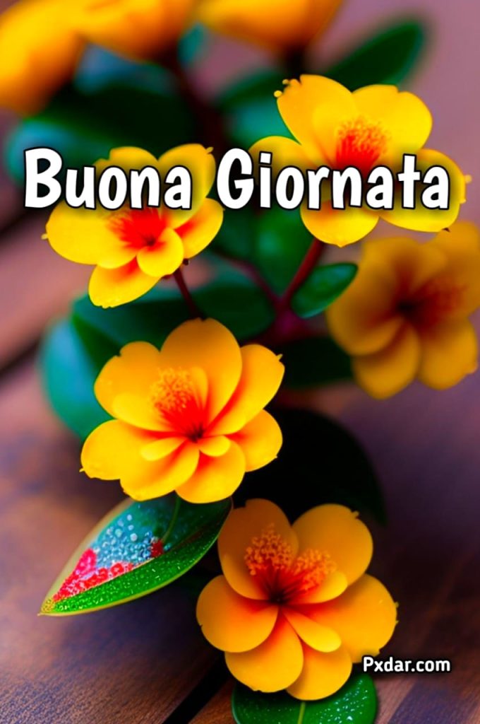 Buongiorno Felice Giornata Immagini