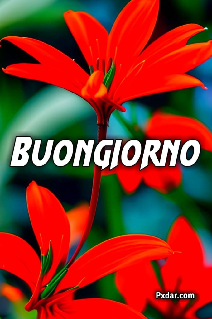 Buongiorno Fiore