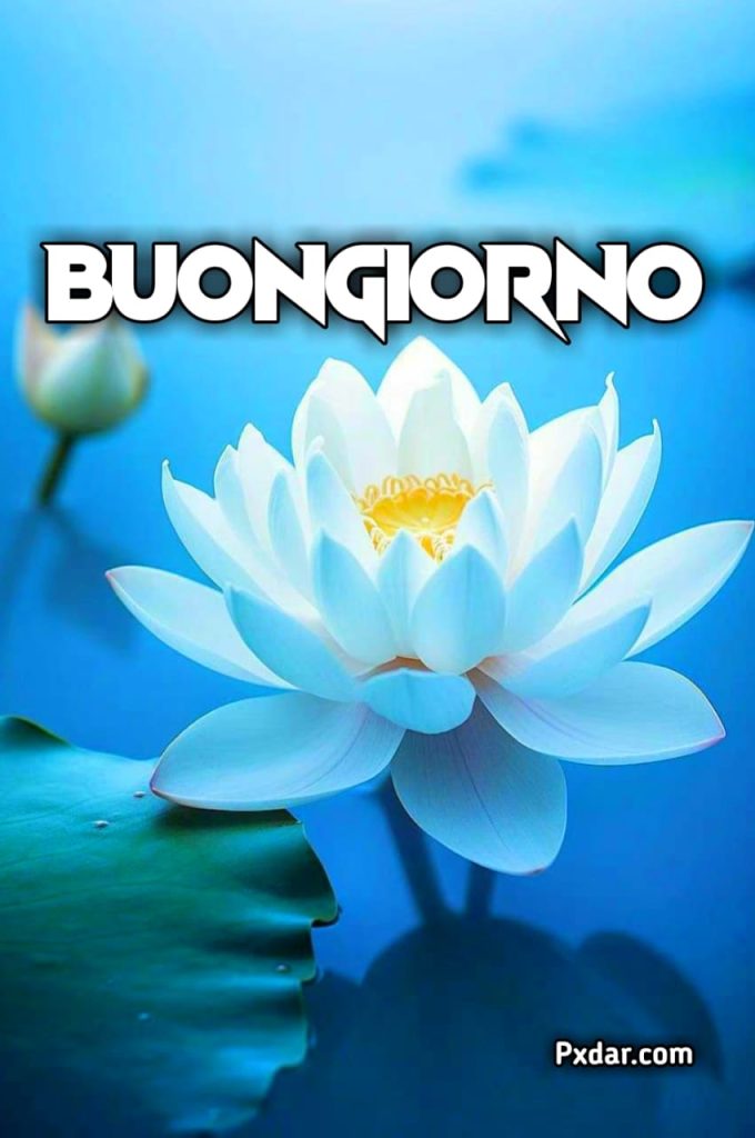 Buongiorno Fiori E Caffè