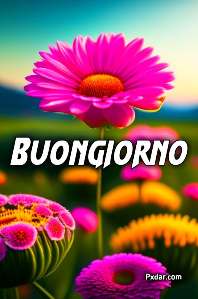 Buongiorno Fiori E Caffè Gratis