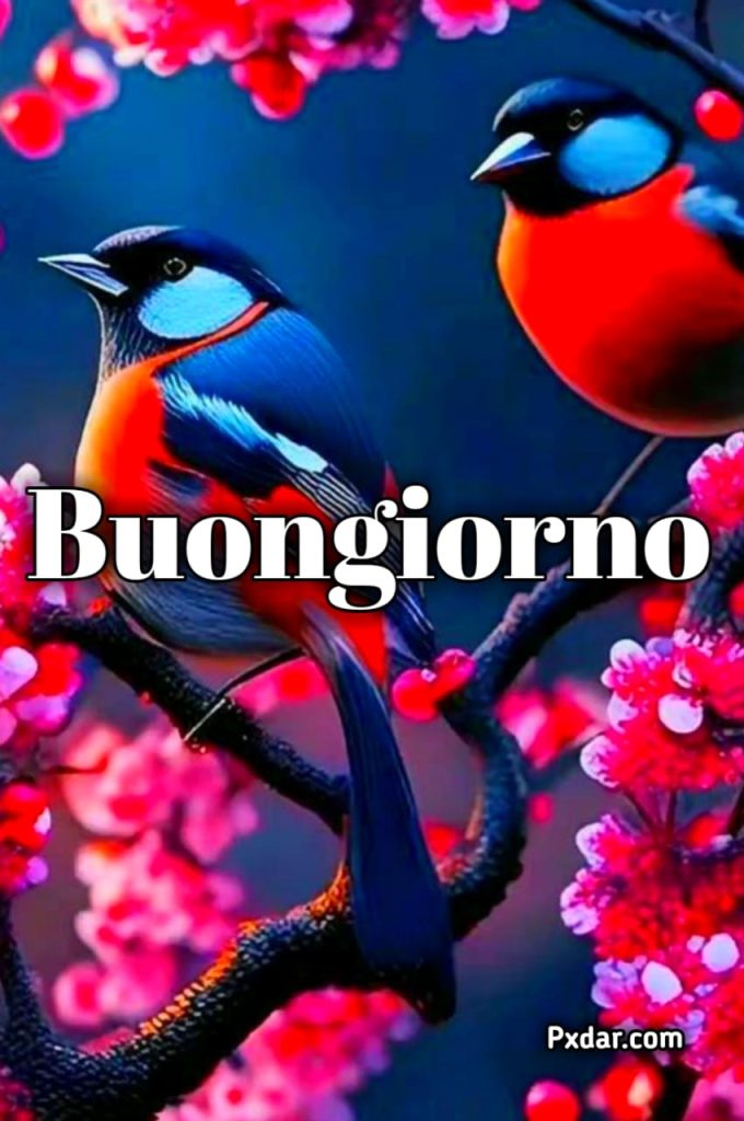 Buongiorno Fiorito Immagini Nuove