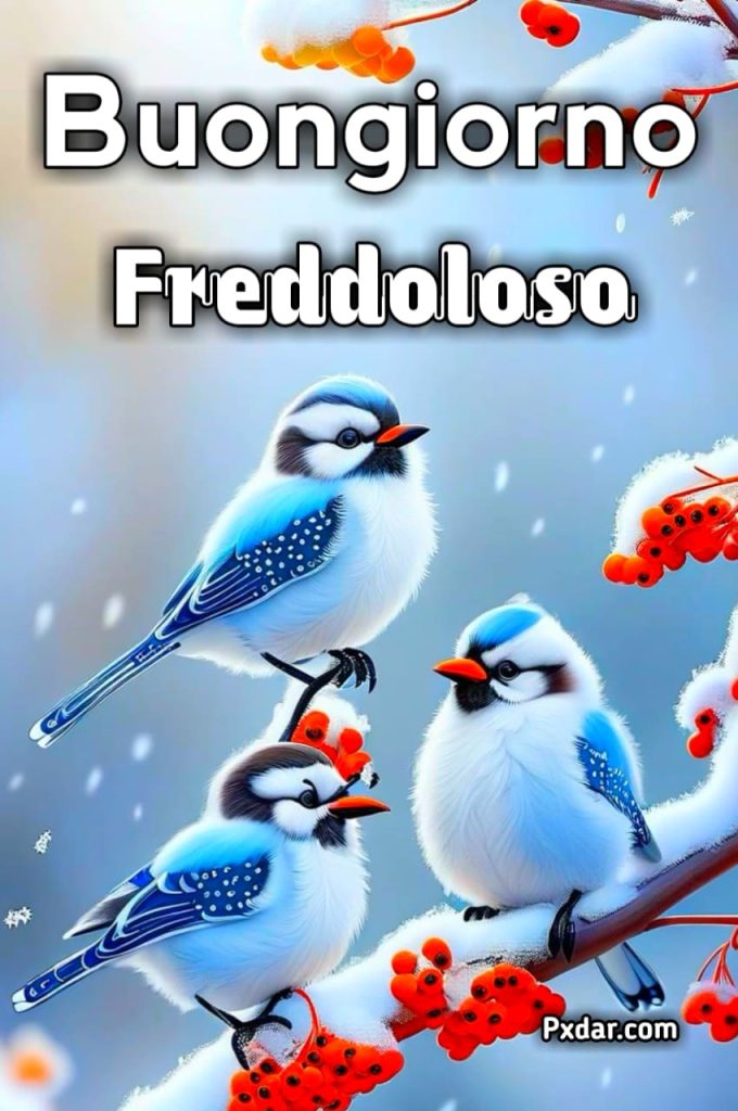 Buongiorno Giovedì Freddoloso