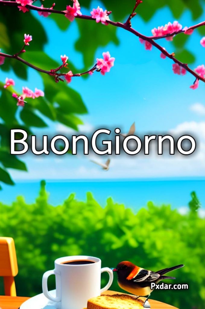 Buongiorno Gratis