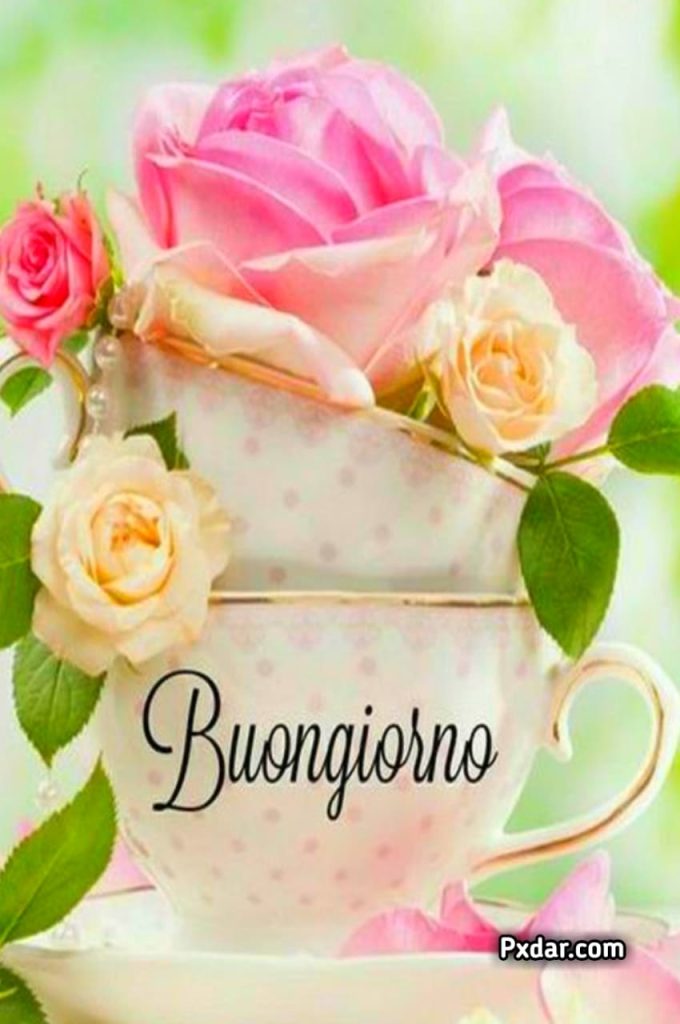 Buongiorno Immagini Inedite