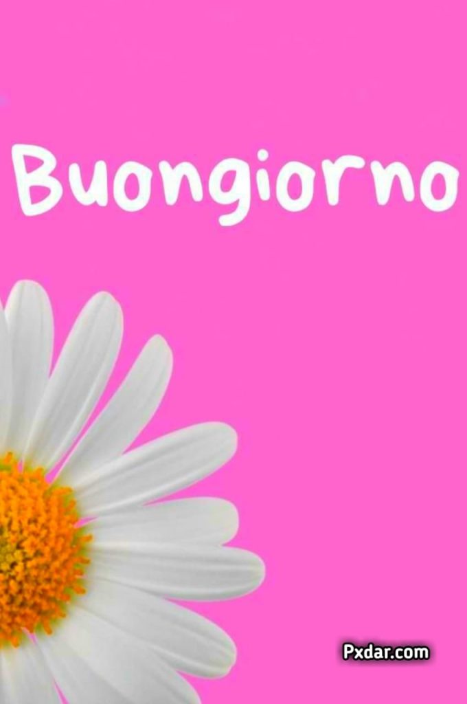 Buongiorno Immagini Nuove Gratis