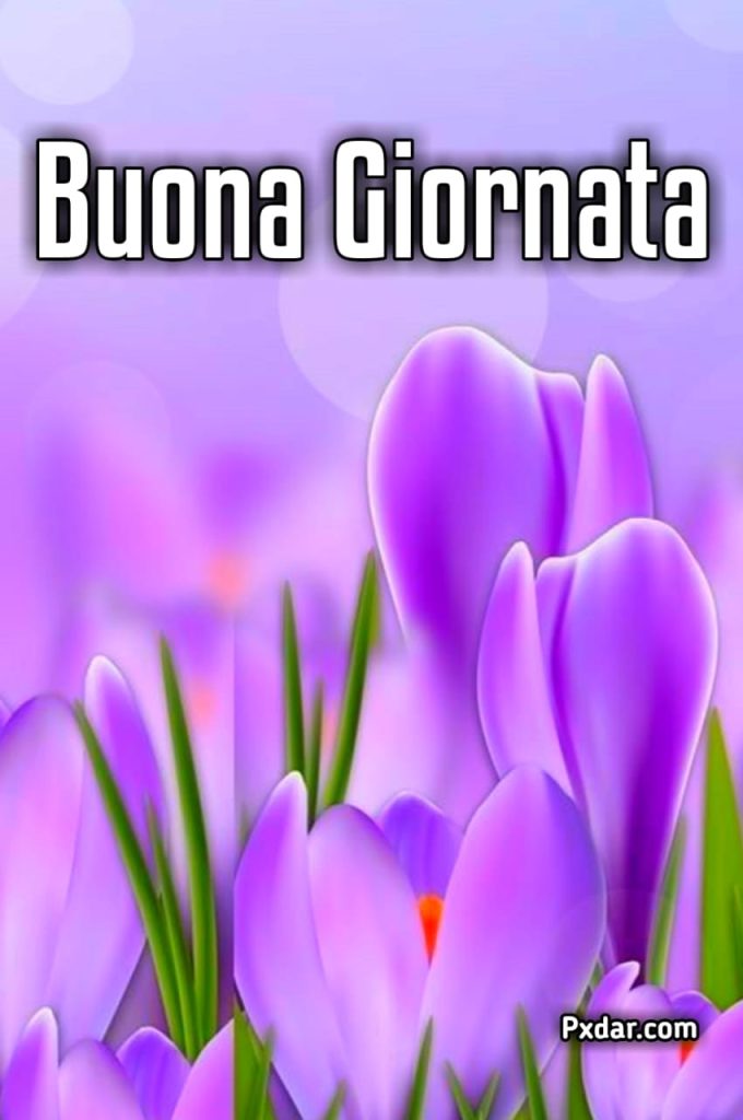 Buongiorno Immagini Nuove Gratis