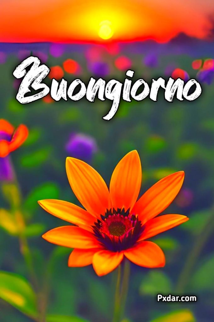 Buongiorno Immagini Originali