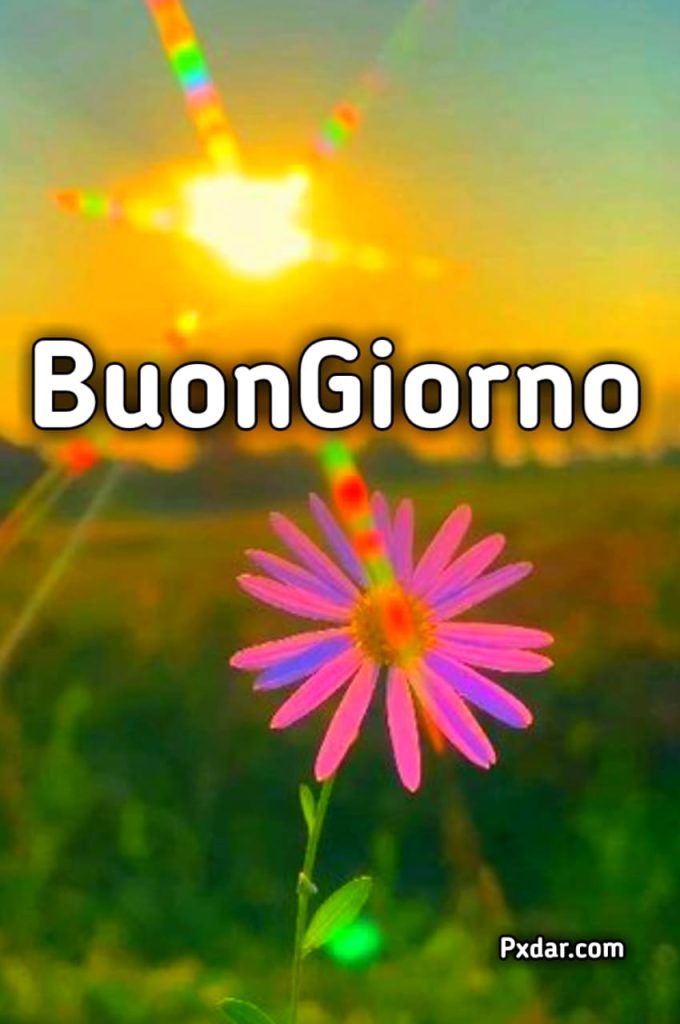 Buongiorno Martedì Immagini Nuove Gratis Per Whatsapp