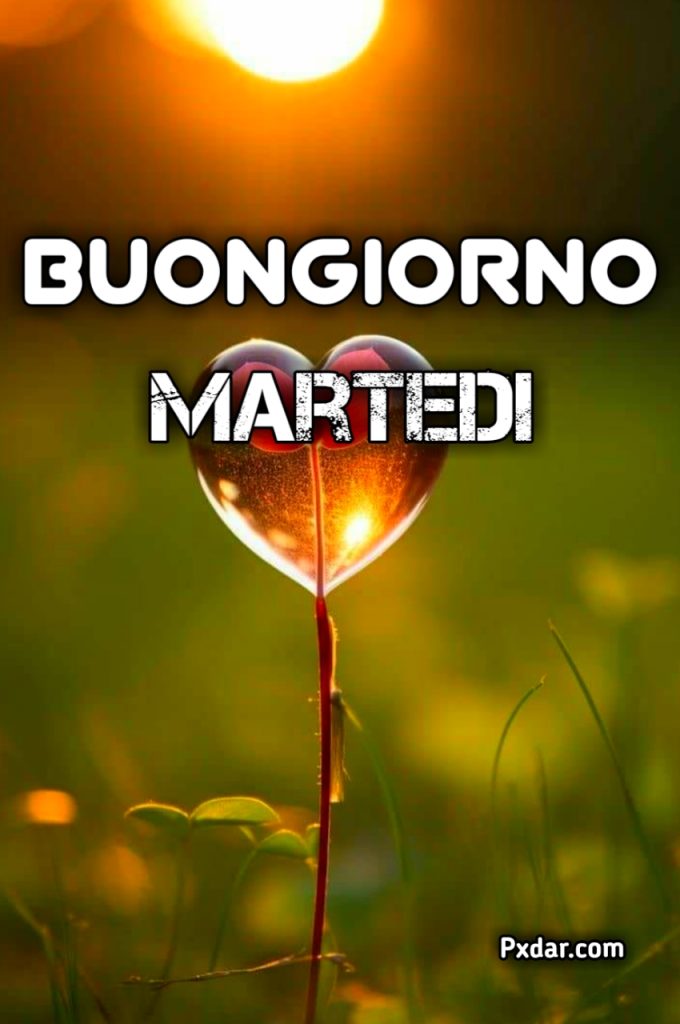 Buongiorno Martedì Invernale