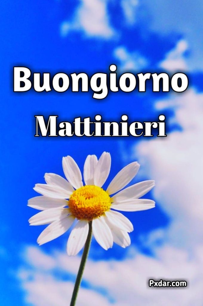 Buongiorno Mattiniera Gif