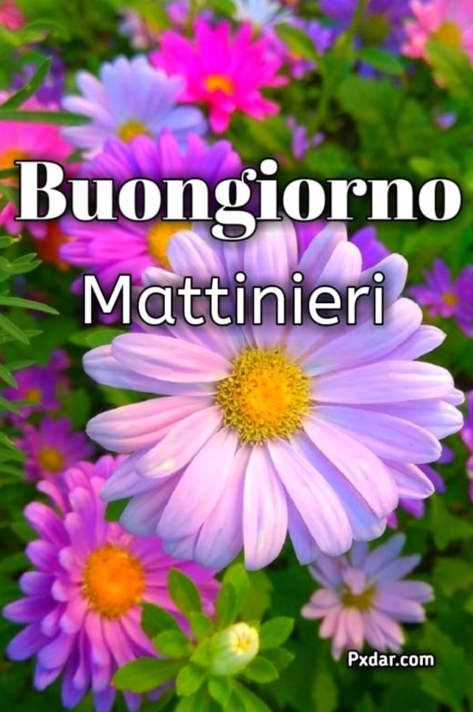 Buongiorno Mattinieri Buon Martedì