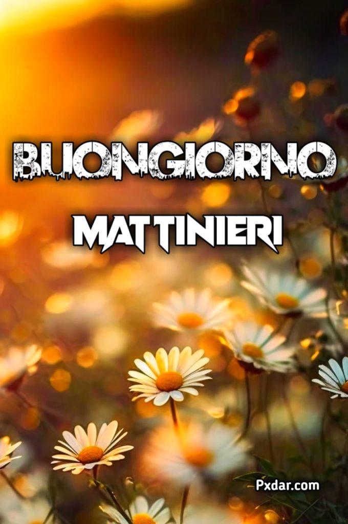 Buongiorno Mattinieri Buon Venerdi