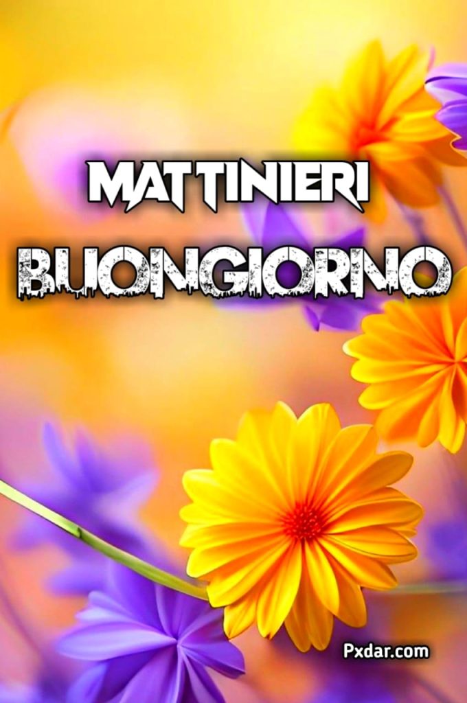 Buongiorno Mattinieri Gif