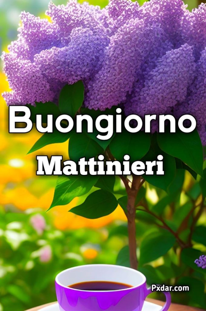 Buongiorno Mattinieri Whatsapp