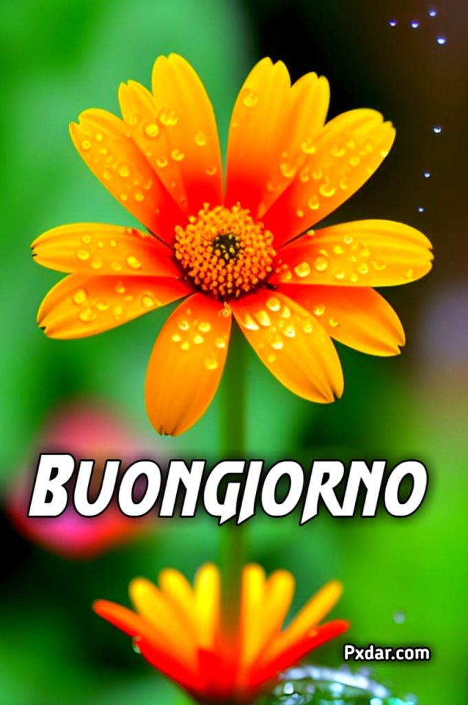 Buongiorno Originale Domenica