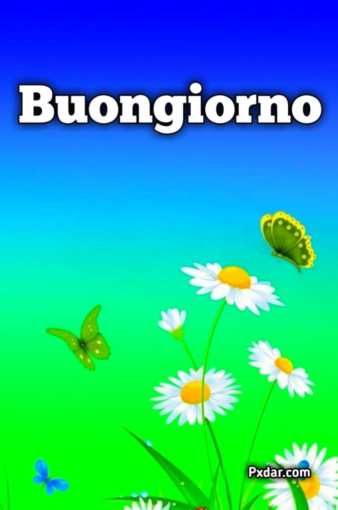 Buongiorno Originale E Divertente