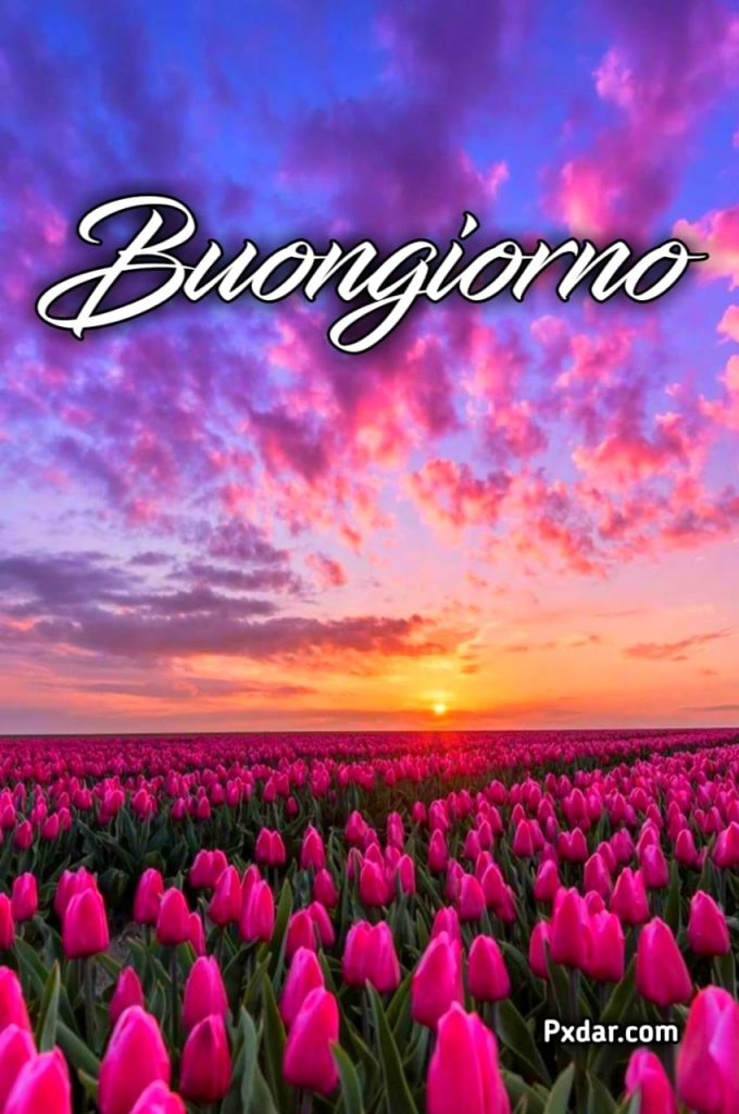 Buongiorno Paesaggio Primaverile