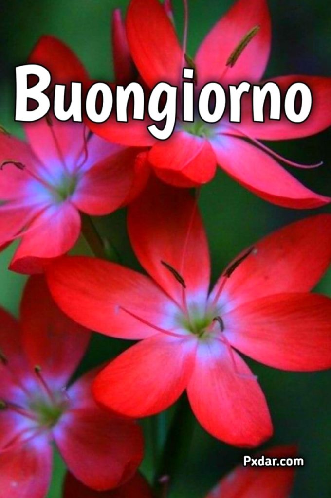 Buongiorno Primaverile