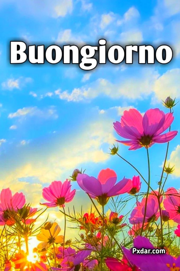 Buongiorno Primaverile Gif