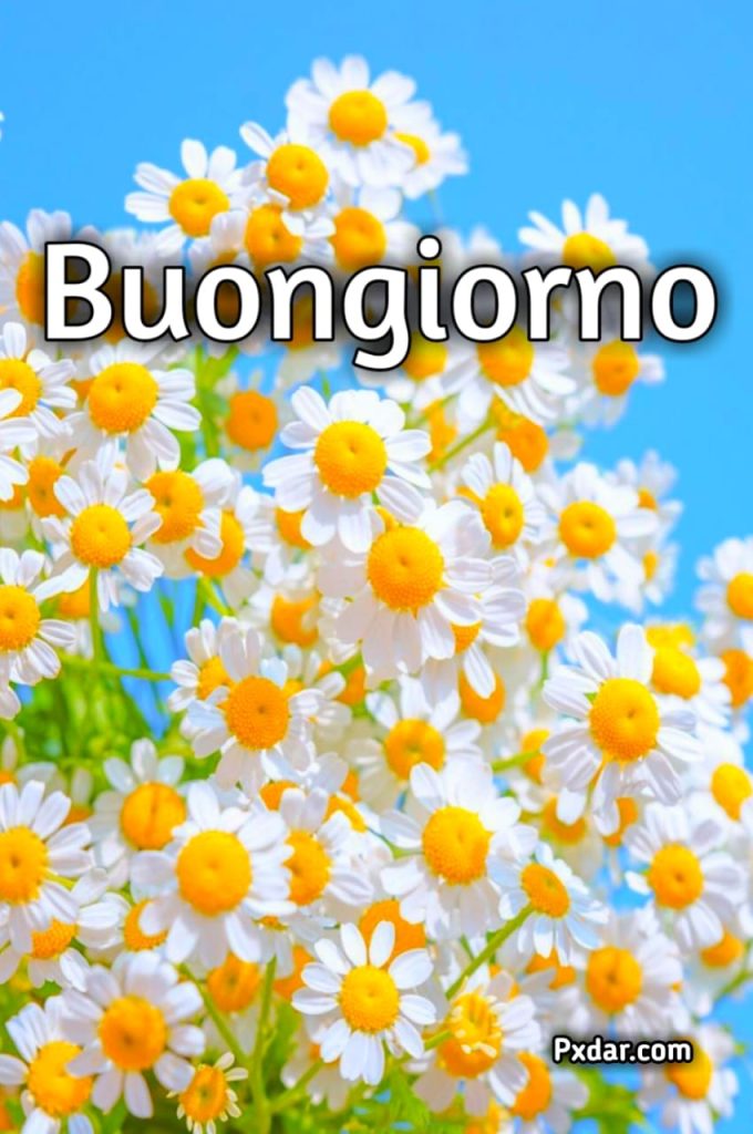 Buongiorno Primaverili