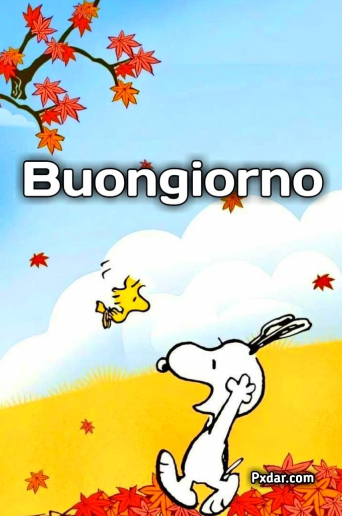 Buongiorno Snoopy Venerdi