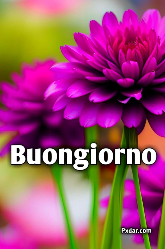 Buongiorno Speciale Insolito Buon Giorno Originale