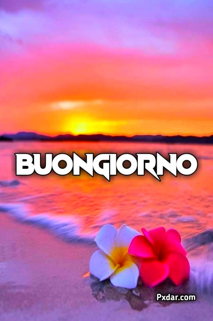 Buongiorno Ultimo Giorno Di Giugno