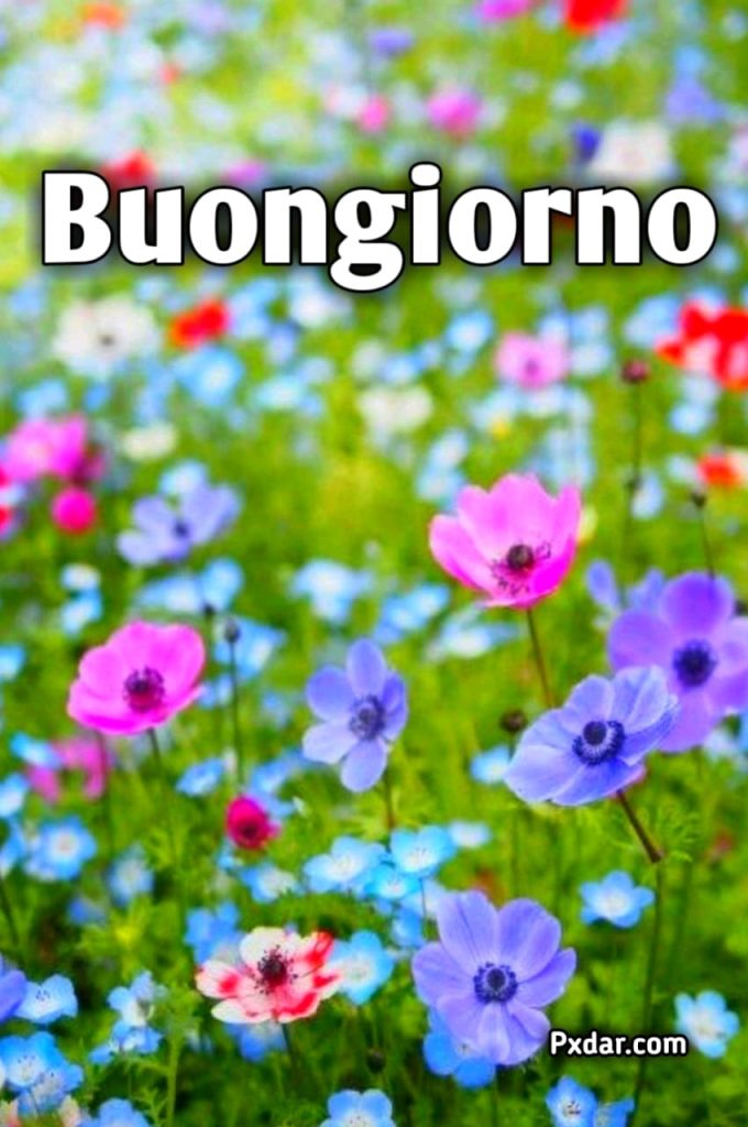 Buongiorno Venerdì Primaverile