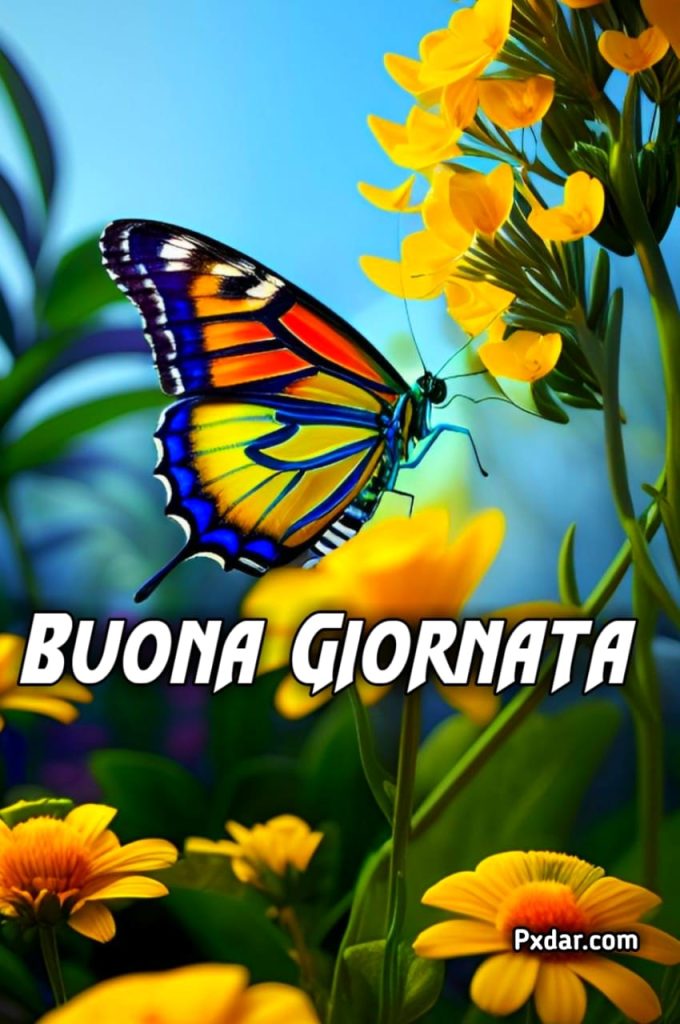 Buonissima Giornata