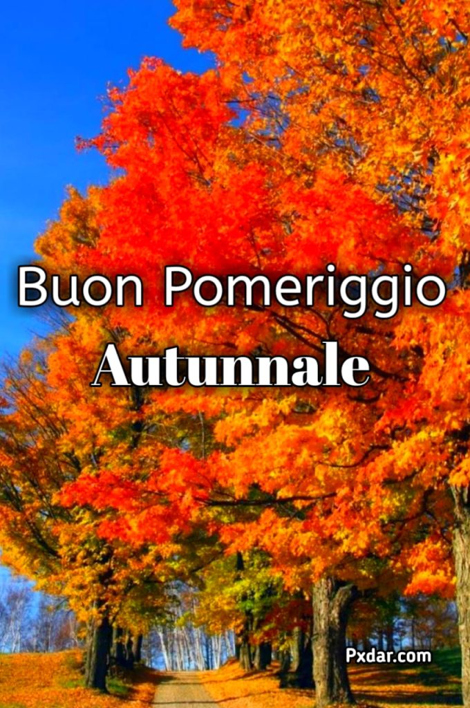 Buonpomeriggio