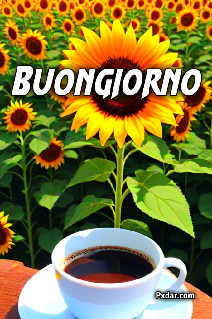 Caffe Buongiorno Fiori