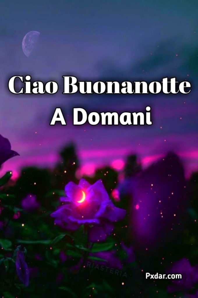 Ciao Buonanotte