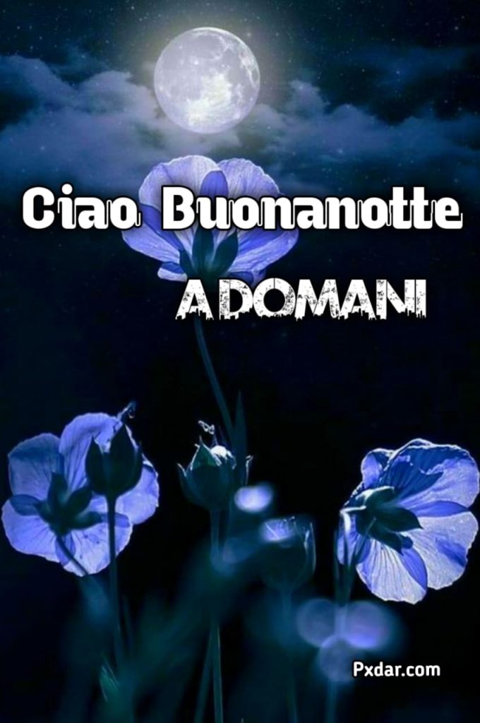 Ciao Buonanotte A Domani Immagini