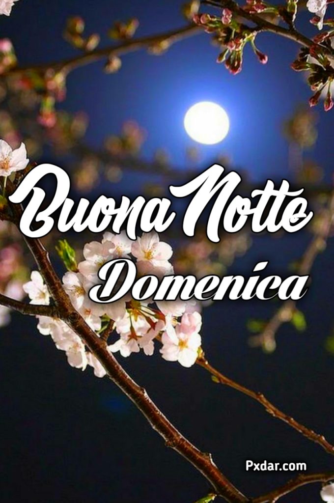 Divertente Buonanotte Domenica Finita