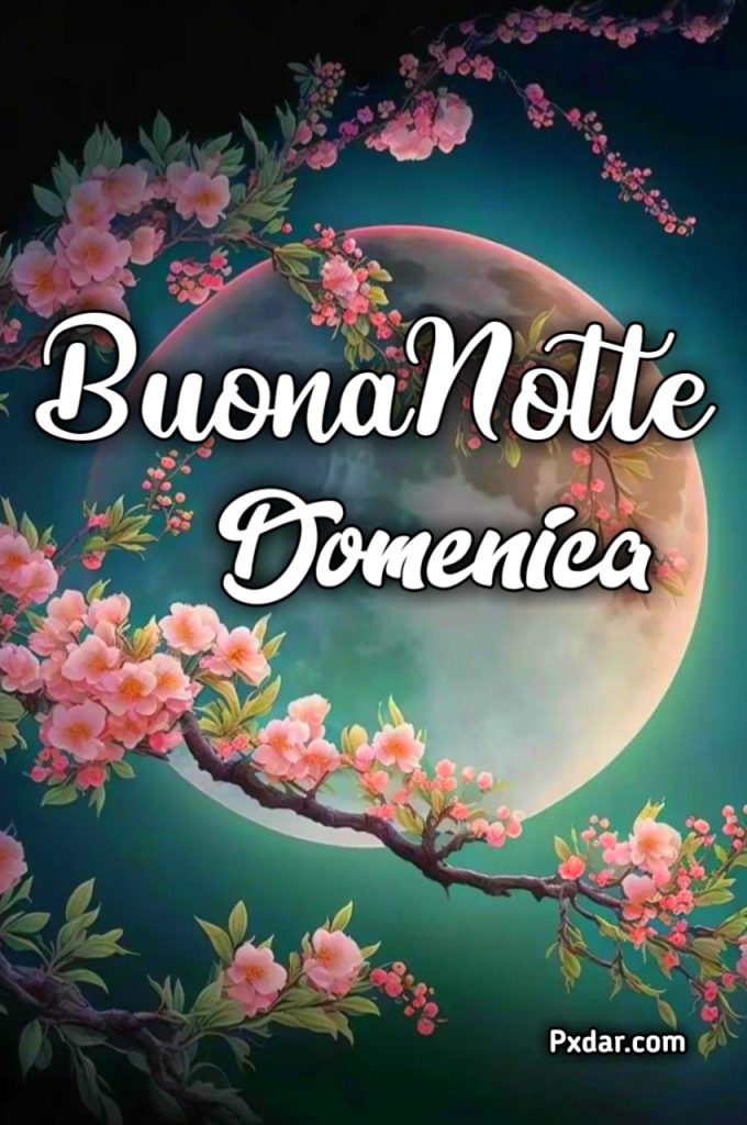 Domenica Finita Buonanotte Gif