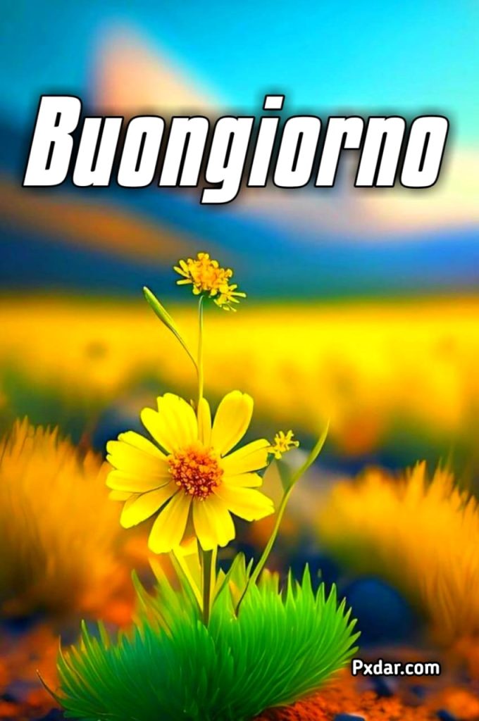 Elegante Buongiorno Originale