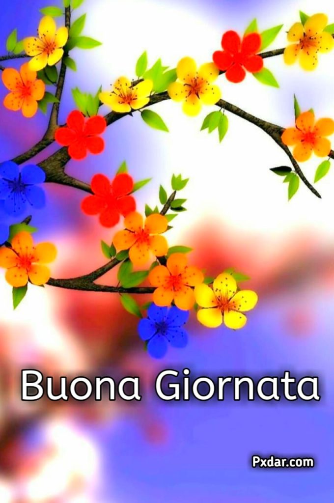 Foto Di Buona Giornata